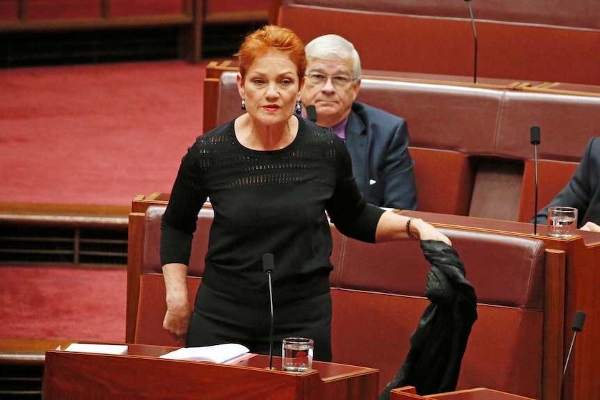 Pauline Hanson holds a burka face veil before putting it on in the Senate on August 17, 2017.
