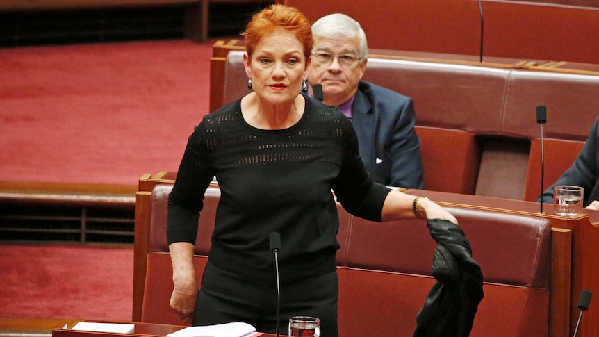 Pauline Hanson speaks after removing the burka she wore in the Senate chamber. (Photo: Jed Cooper)