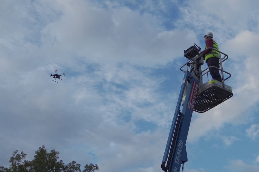 The koala-spotting drone