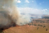 Grass fire near Gunnedah, NSW