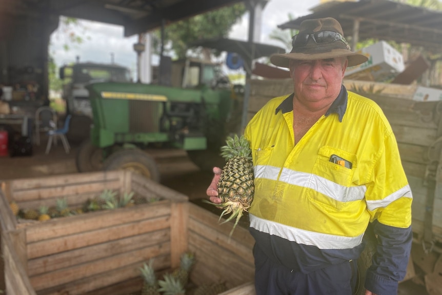 A man in high-vis and a hat holds up a pineapple next to a bin of the fruit.