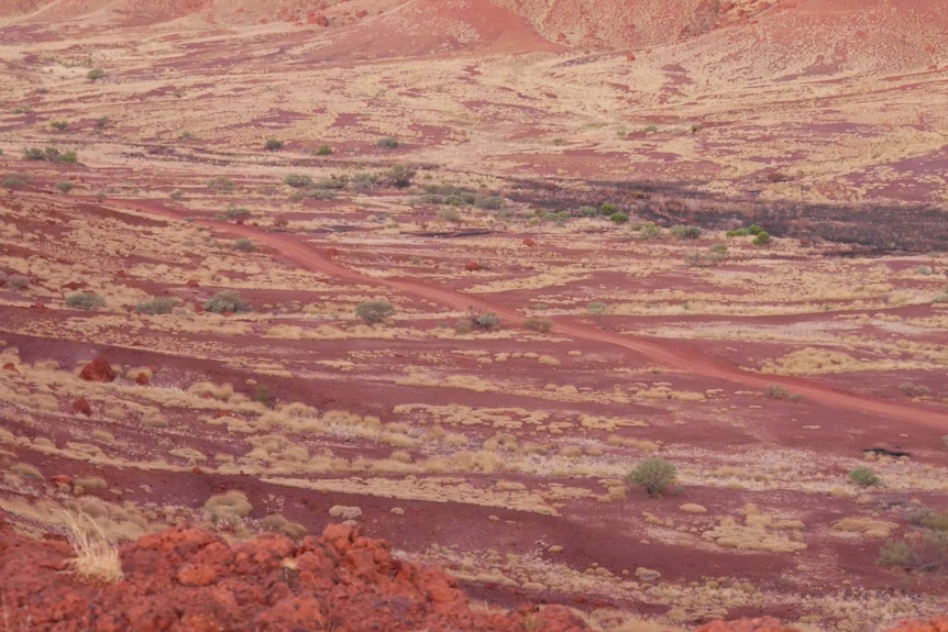 An unpaved road through red dirt and spinifex