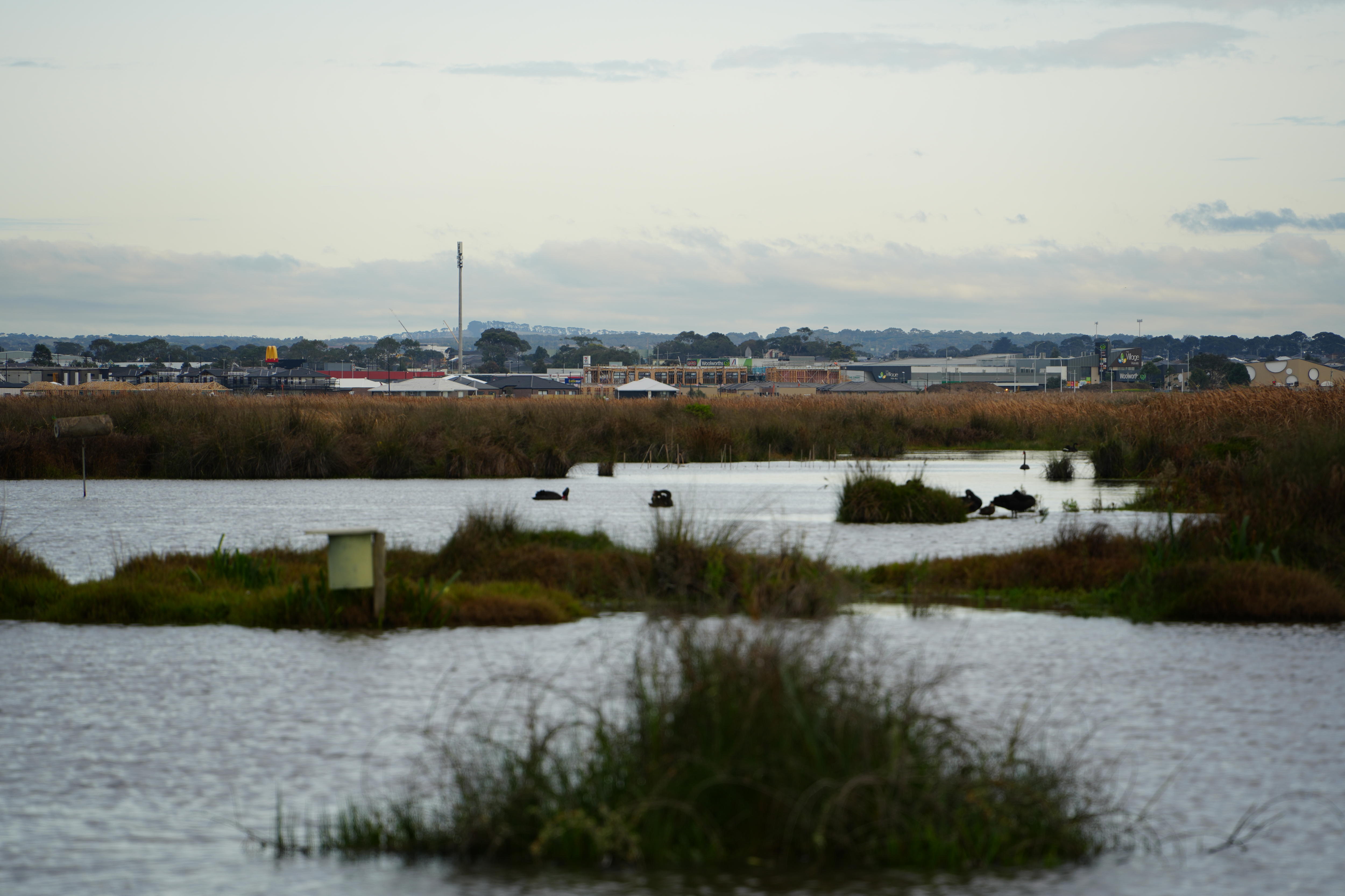 Lake with suburban housing under construction in the background