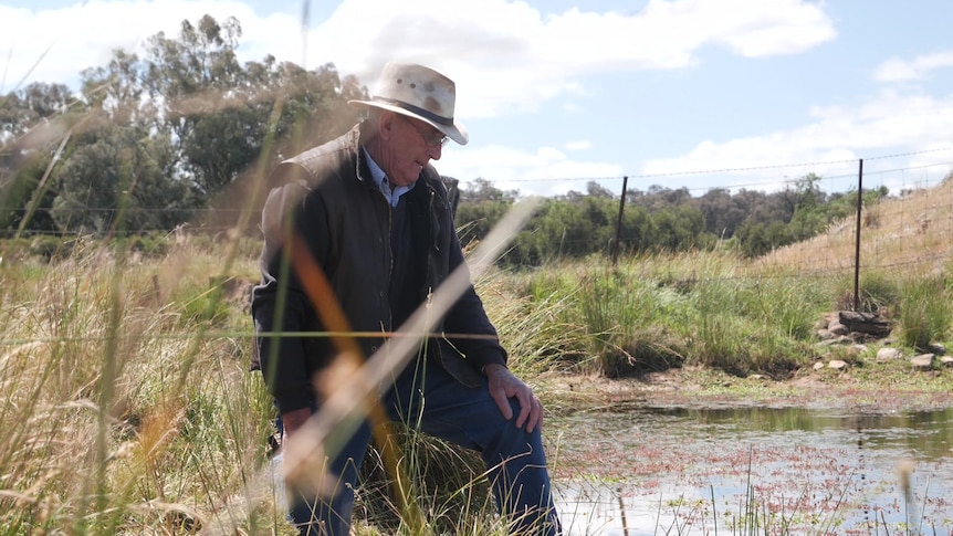 Cowra famer Bill West sitting by water on his property with long grass framing him in the image