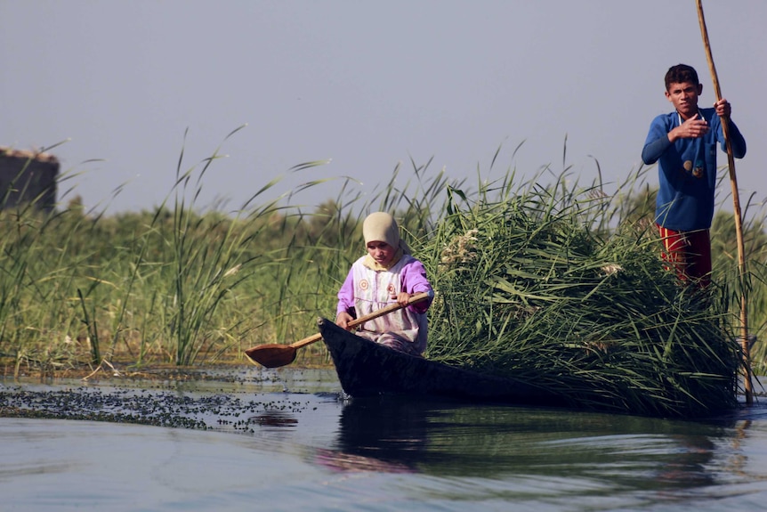 Children collect reeds from a boat