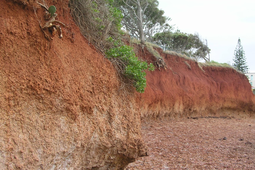 Small red rock cliffs in Redcliffe, Brisbane.