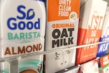 plant-based milks on a supermarket shelf