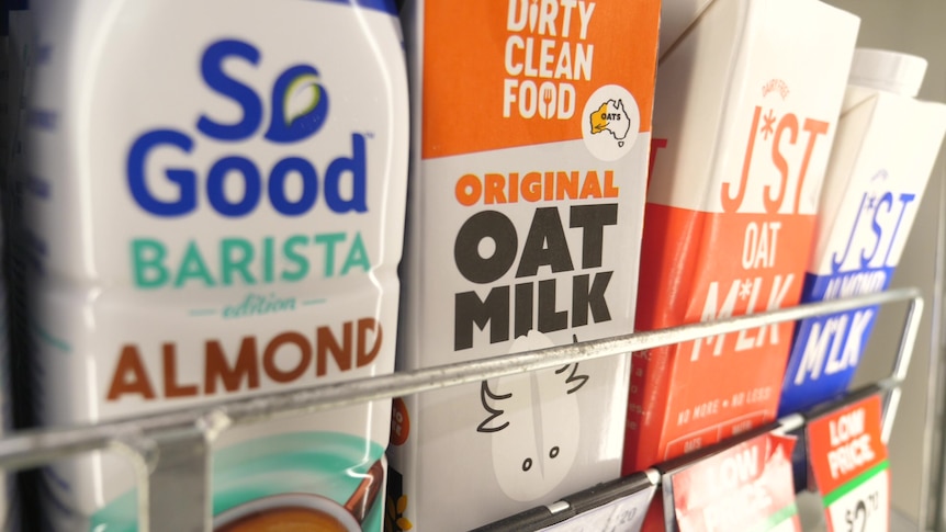 plant-based milks on a supermarket shelf