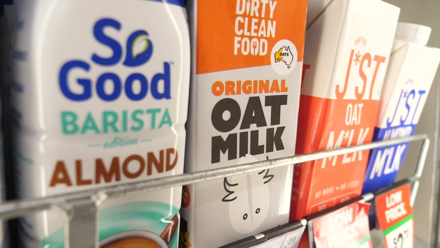 The 10 Best Non dairy Vegan Milk Alternatives ProVeg South The 10 Best Non dairy Vegan Milk Alternatives ProVeg South