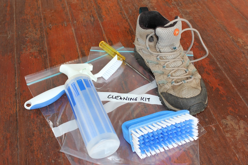 A shoe, scrubbing brush and disinfectant in a cleaning kit.