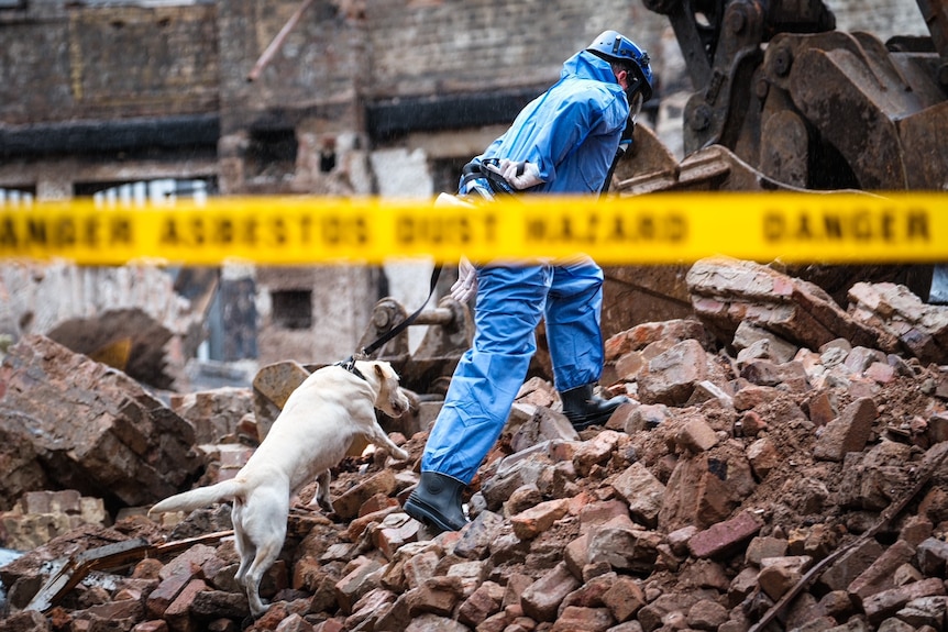 a  man with a dog at a site of rubble searching for human remains