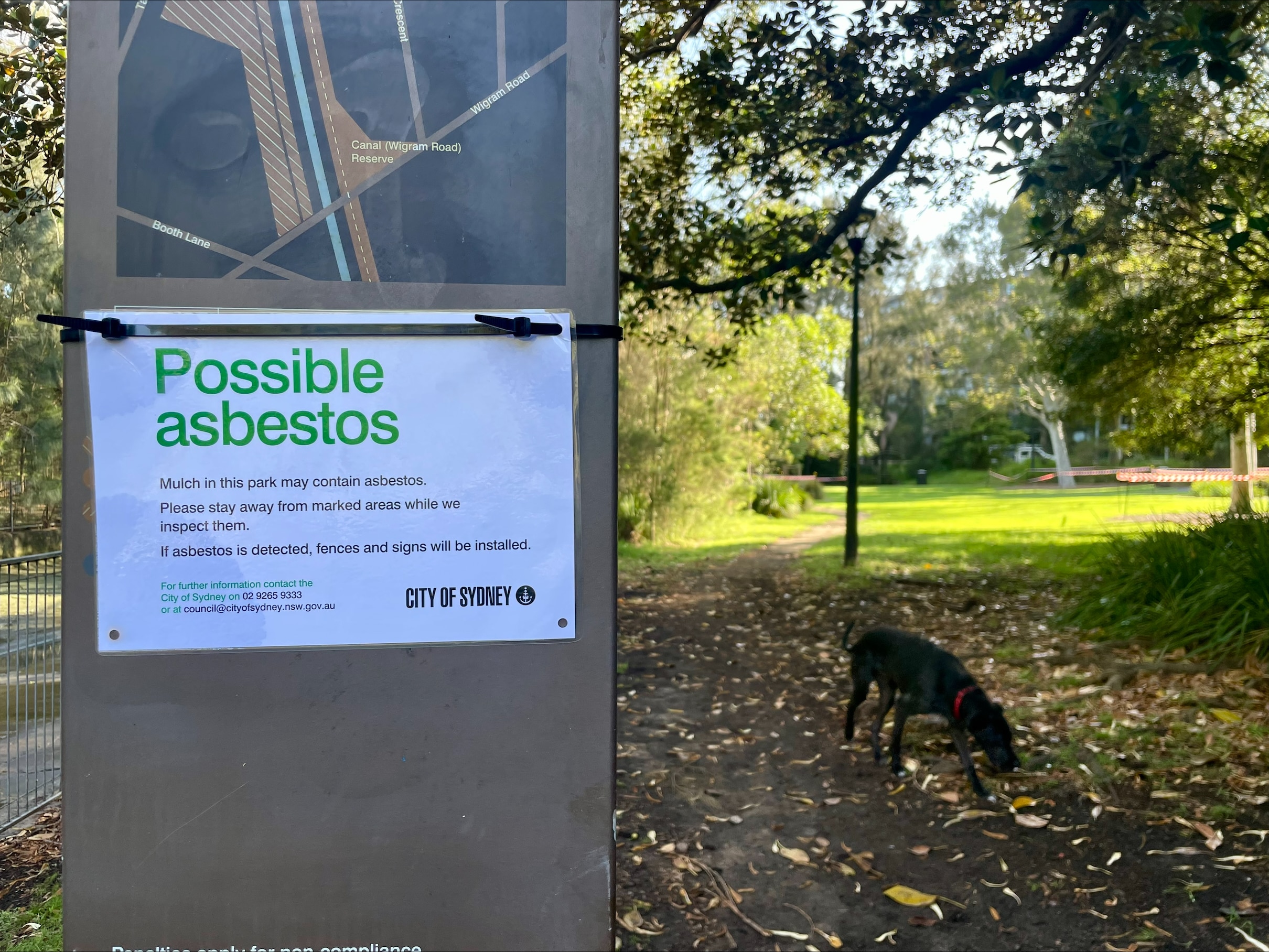 A sign says possible asbestos and a dog walks along a path