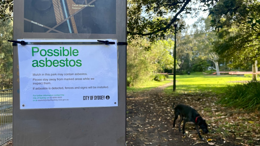 A sign says possible asbestos and a dog walks along a path