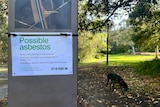 A sign says possible asbestos and a dog walks along a path