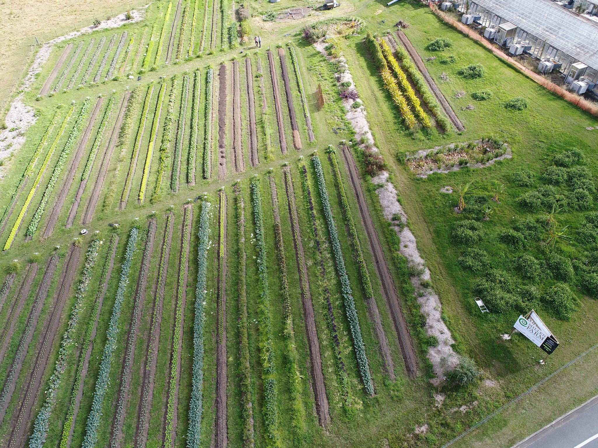 Queensland farmers' vision to transform the southeast into Australia's