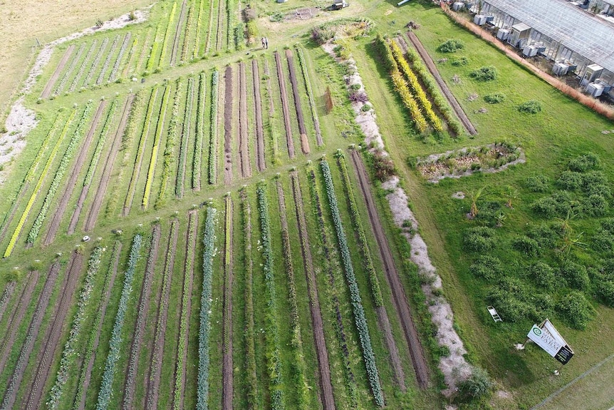 Aerial shot of a farm.