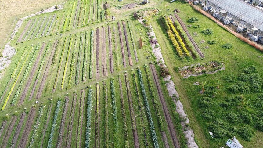 Aerial shot of a farm.