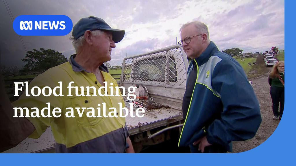 More federal funding made available to NSW flood victims - ABC News