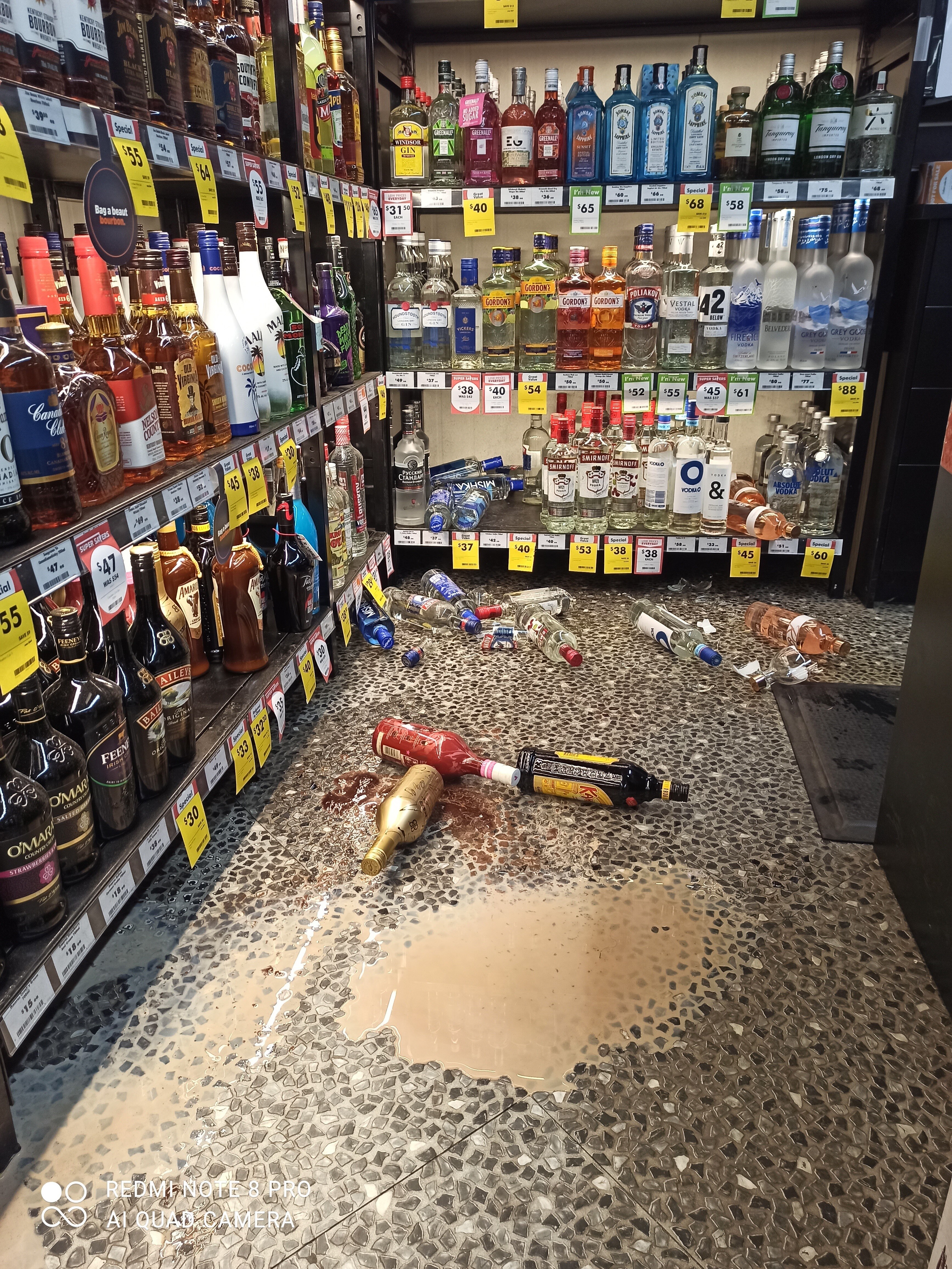 Echidna Spikes Drinks After Late Night Rampage Through Bottle Shop Abc News