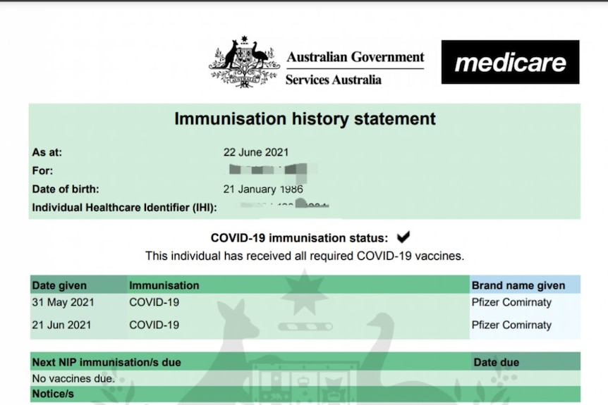 A screenshot titled immunisation history statement with blurred personal details