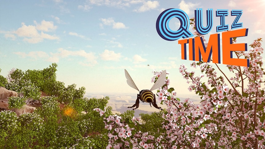 A cgi created scene of a bee flying through a grassy plains landscape in spring.