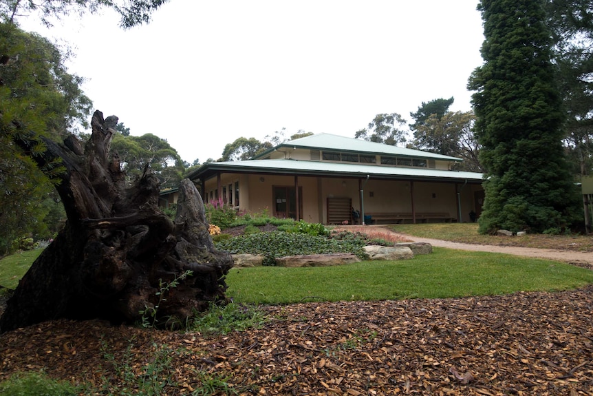 A meditation retreat in the Blue Mountains