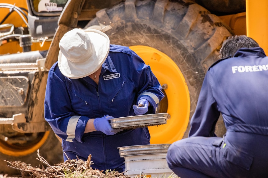 Woman wearing white hat and blue uniform with forensic tag looks down at hand with silver prospecting pan below.