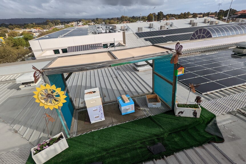 Bee hives on fake grass under a shadecloth on a rooftop.