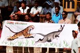 Indian fans in Chennai display a banner showing an Indian tiger chasing an Australian kangaroo.