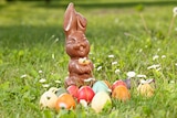 A chocolate bunny and Easter eggs in a field
