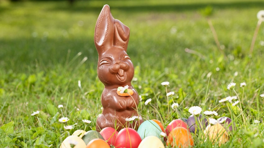 A chocolate bunny and Easter eggs in a field