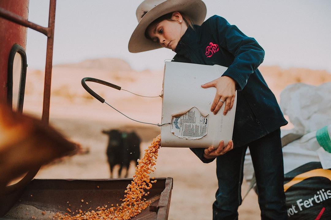 A young girl pours grain in to a cattle feeder.