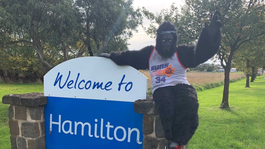 Hammo the Gorilla has become a positivity mascot for the wider Hamilton community.