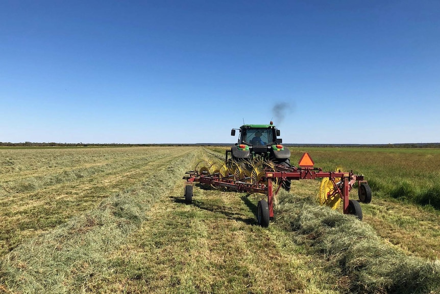 Tractor raking hay