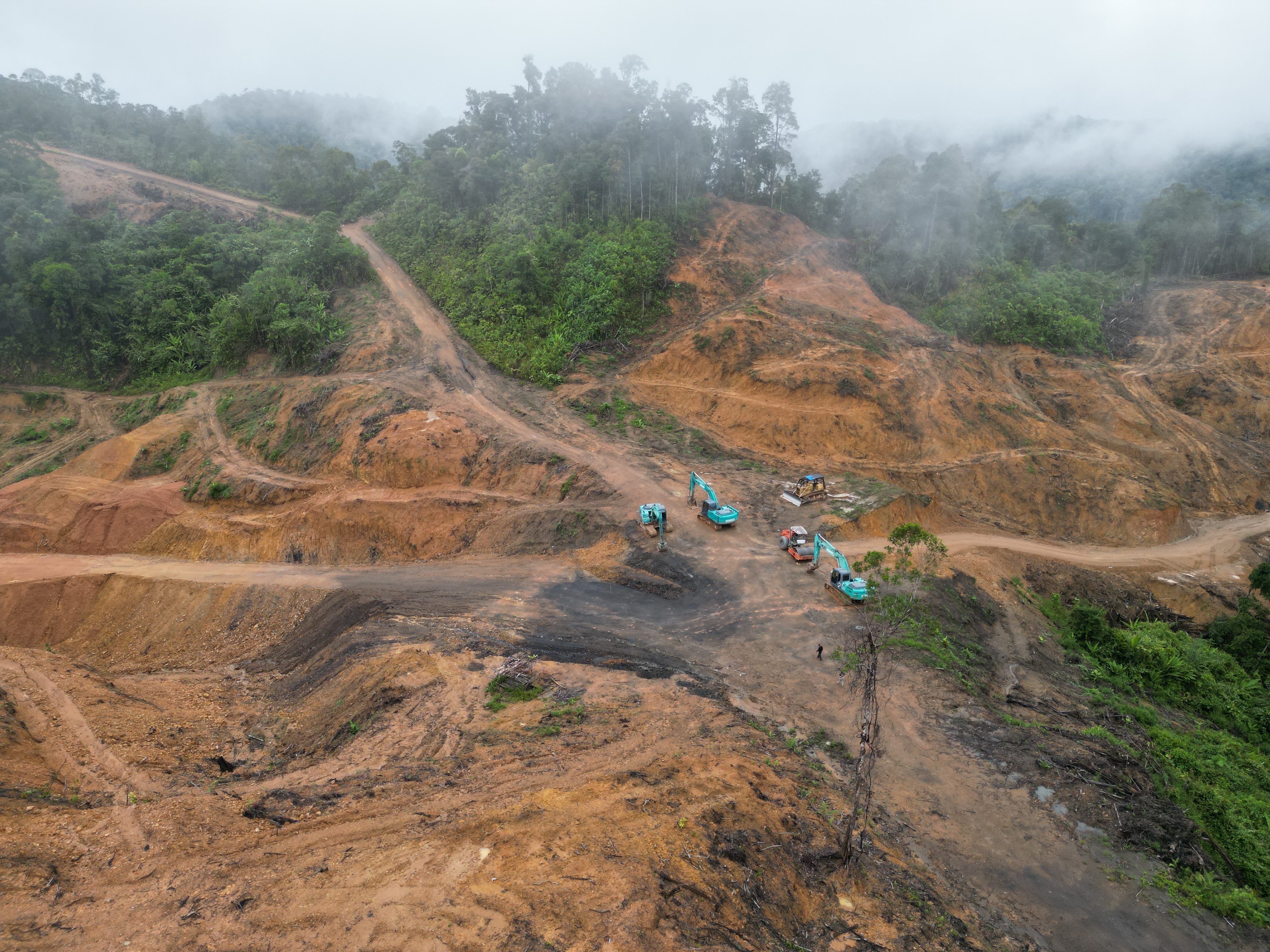 With imports on the rise, why aren't we told where our wood comes from?