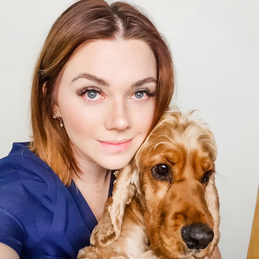 Kennel cough is on the rise across dog parks. Here's what you need to