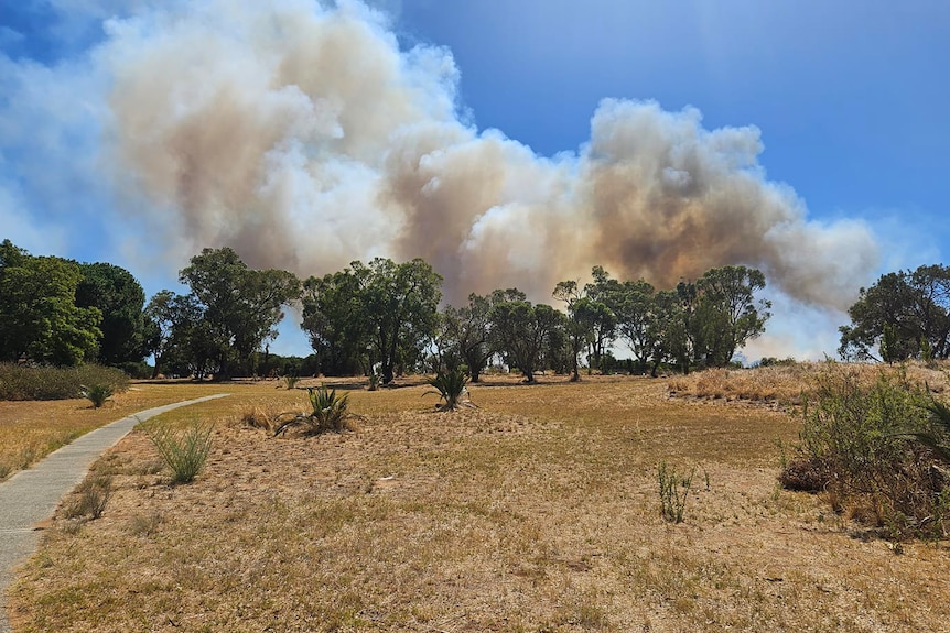 A huge plume of smoke rises above trees into the blue sky from a bushfire in Perth's hills.