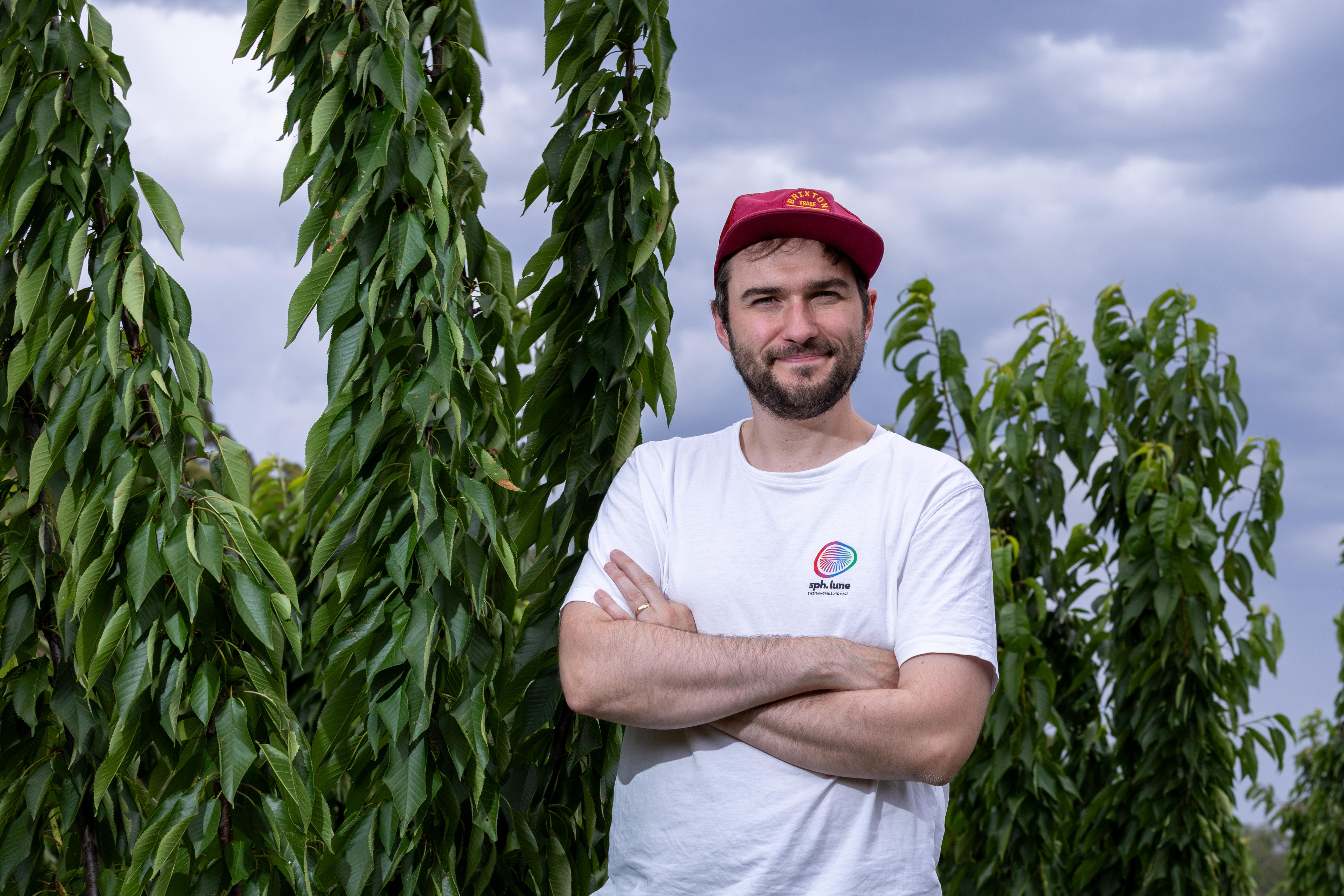 a man stands in a cherry tree orchard 