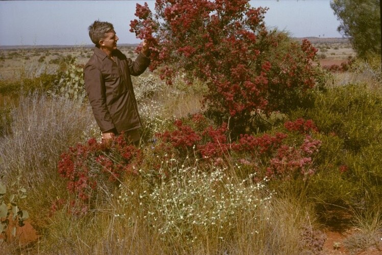 A man stands looking at a shrub in the country.