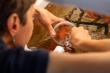 Woman scoops water into a tub with a sea sponge in it