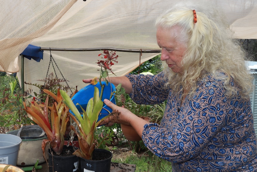 An older woman with long white hair waters plants.