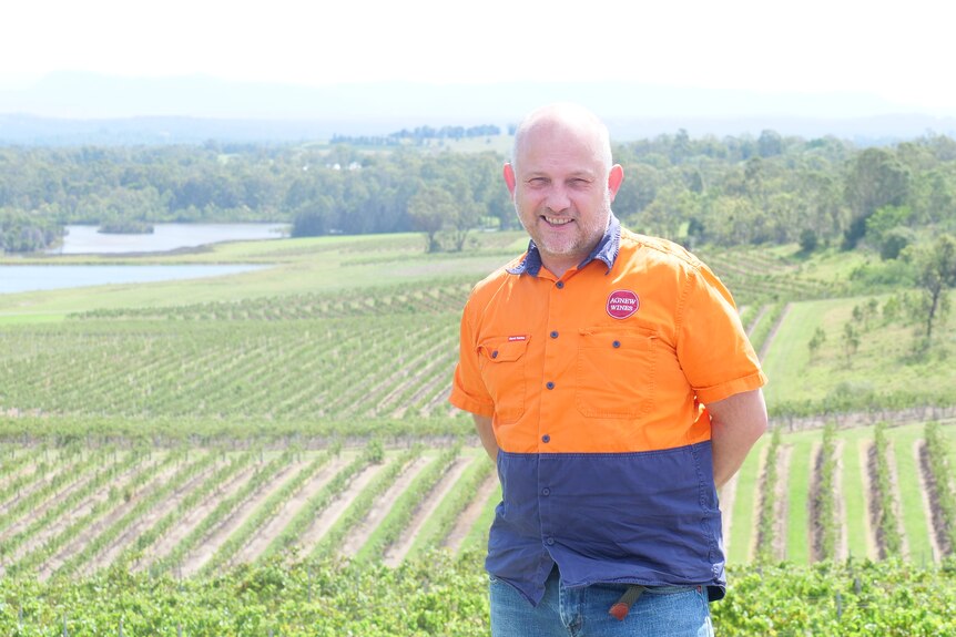 James Agnew stands with rows of his vineyard behind him and the mountains in the distance. 
