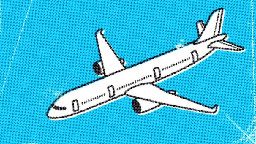An illustration of a plane