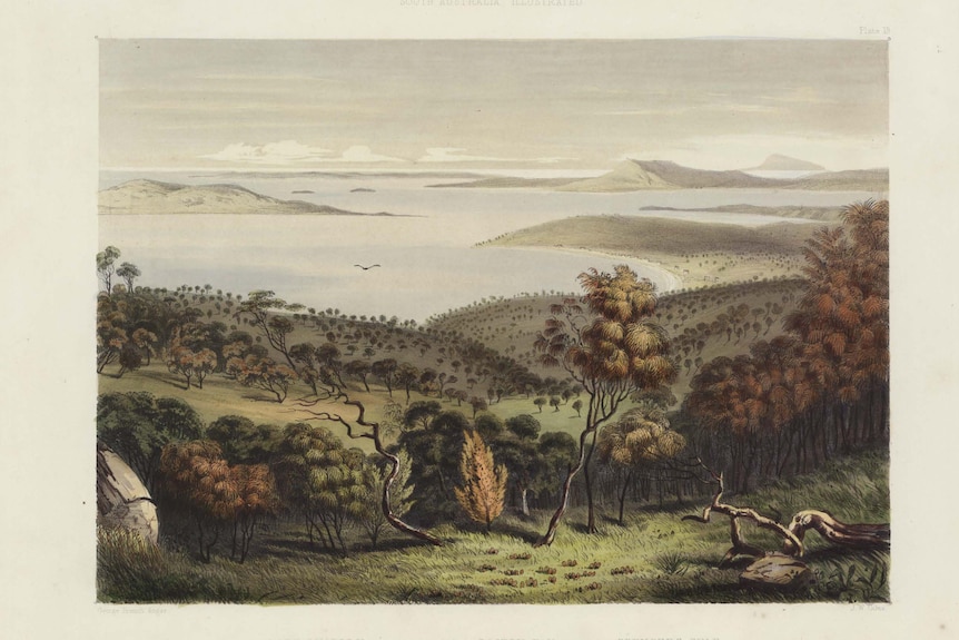 A painting of Port Lincoln in the 1800s