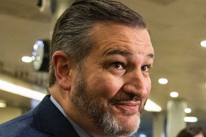 Senator Ted Cruz, R-Texas, pauses as he speaks to reporters