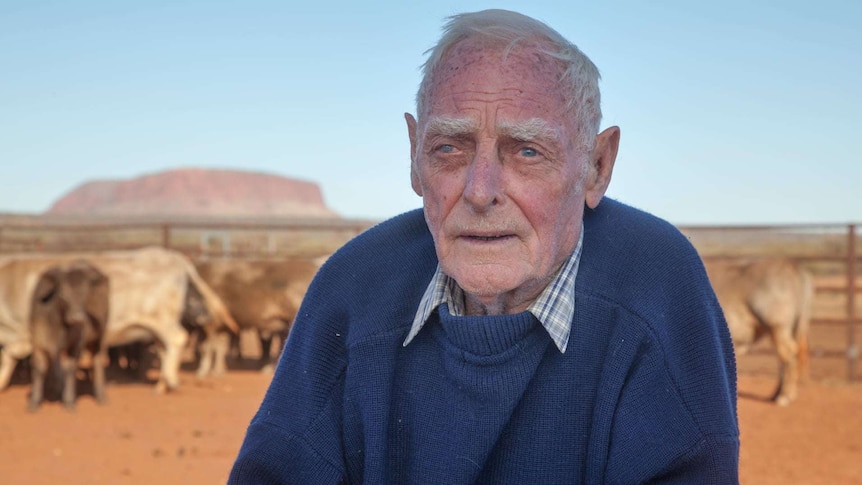 An elderly white man in a blue jumper, leaning on a fence, with some cattle behind him and Uluru in the distant background.