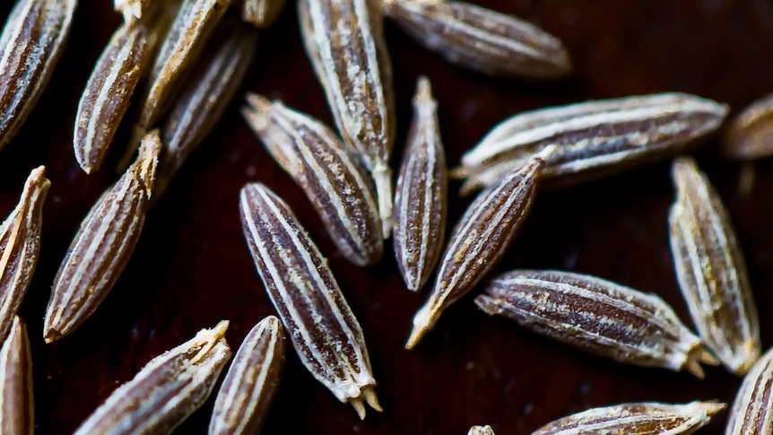one of the most ancient spices: cumin