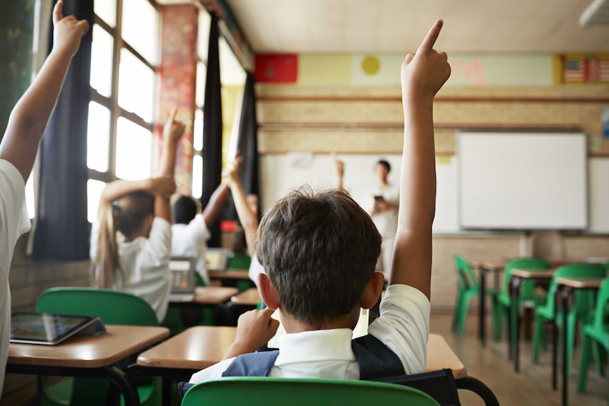 Boy putting up hand in classroom