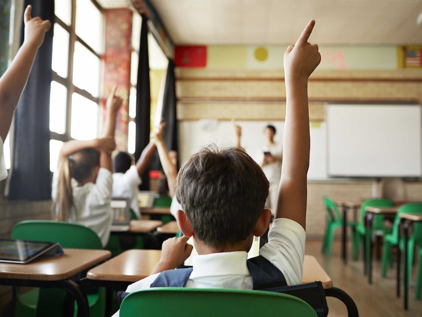 Boy putting up hand in classroom