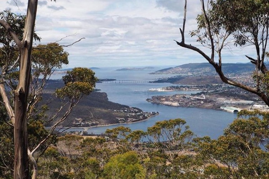 View of Hobart from Mount Direction